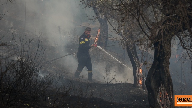 Χωρίς ενεργό μέτωπο η φωτιά στον Αλμυροπόταμο Ευβοίας, άμεση η κινητοποίηση της Πυροσβεστικής