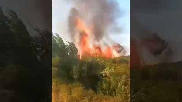 Ηλεία: Φωτιά τώρα στη Βάρδα - Στη μάχη της κατάσβεσης και εναέρια μέσα