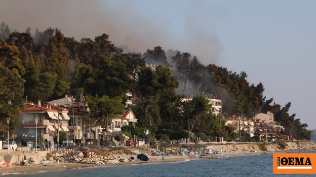Χαλκιδική: Ξεκίνησαν οι αιτήσεις κρατικής αρωγής για τις επιχειρήσεις που επλήγησαν από την πυρκαγιά στη Σίβηρη