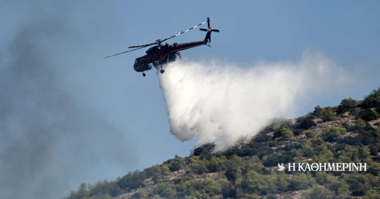 Φωτιά στον Κάλαμο Λευκάδας – Στη μάχη εναέρια μέσα