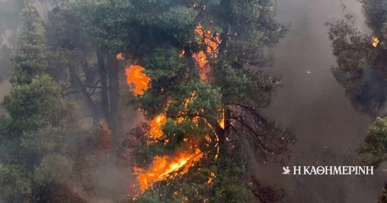 Φωτιά στη Χαλκιδική: Στον εισαγγελέα οι δύο υπεύθυνοι εργολάβοι του ΔΕΔΔΗΕ