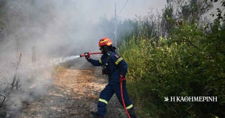 Φωτιά στη Λήμνο: Ελαφρύς τραυματισμός πυροσβέστη