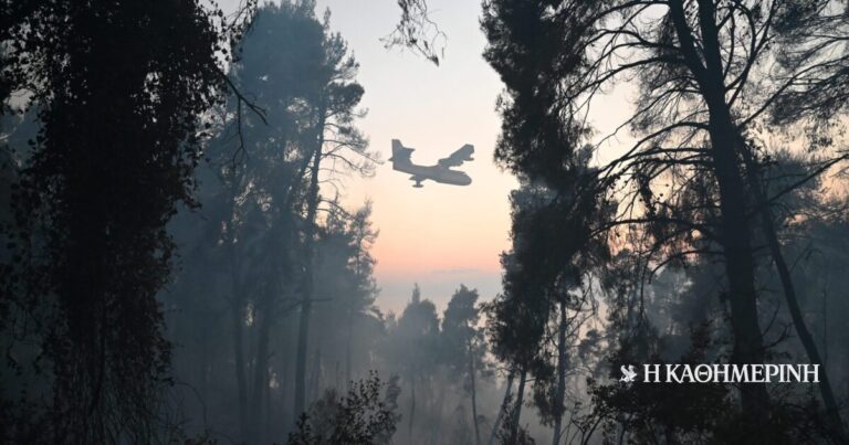 Αρτοποιός: Στα 3.500 στρέμματα εκτιμάται η καμένη έκταση στη Σίβηρη