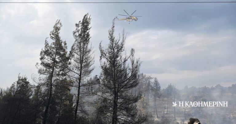 Φωτιά στη Χαλκιδική: Ελεύθεροι οι δύο εργολάβοι του ΔΕΔΔΗΕ