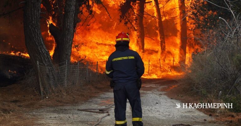 Υψηλός ο κίνδυνος για φωτιές σε ολόκληρη τη χώρα – Ο Χάρτης Πρόβλεψης Κινδύνου Πυρκαγιάς