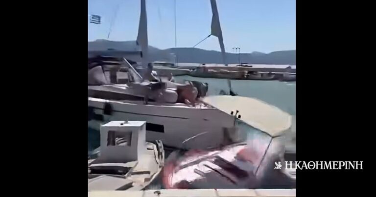 Λευκάδα: Ιστιοφόρο έπεσε πάνω σε δεμένα σκάφη στο λιμάνι του Καλάμου – Βίντεο από την πρόσκρουση