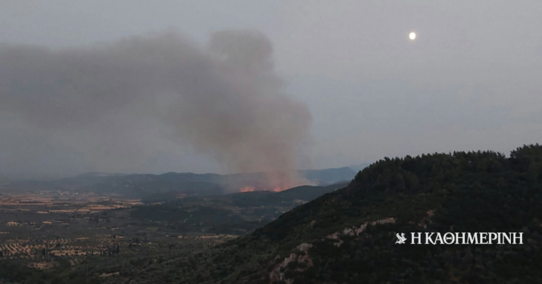 Φωτιά στη Βοιωτία: Ενισχύονται οι δυνάμεις στον Αγιο Βλάσιο