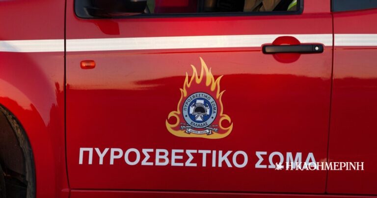 Πυρκαγιά σε αγροτοδασική έκταση στην Ανδρο – Εστάλη 112 για ενημέρωση