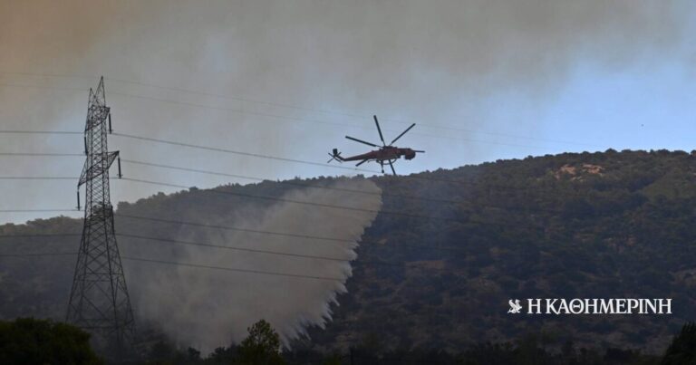 Μάχη σε δύο μέτωπα δίνουν οι πυροσβέστες στη Σκύρο – Επιχειρούν επίγειες και εναέριες δυνάμεις