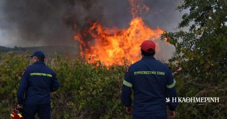 Υπό έλεγχο η φωτιά στην παραλία Οφρυνίου Καβάλας