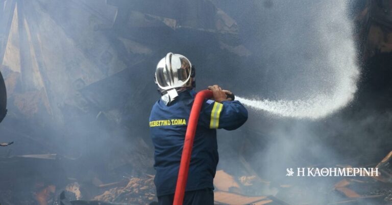 Υψηλός κίνδυνος πυρκαγιάς και αύριο στο μεγαλύτερο μέρος της χώρας – Οι περιοχές σε κίτρινο συναγερμό