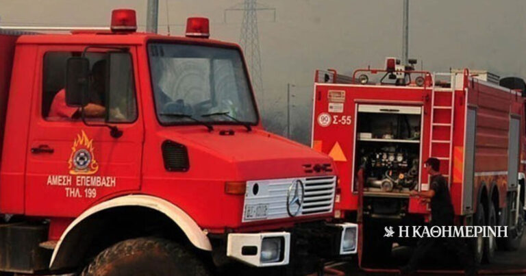 Πυρκαγιά στη Σκύρο: Ενισχύσεις από Αττική, Εύβοια και Θεσσαλία – Μάχη με τις φλόγες στο μέτωπο προς το Πεύκο