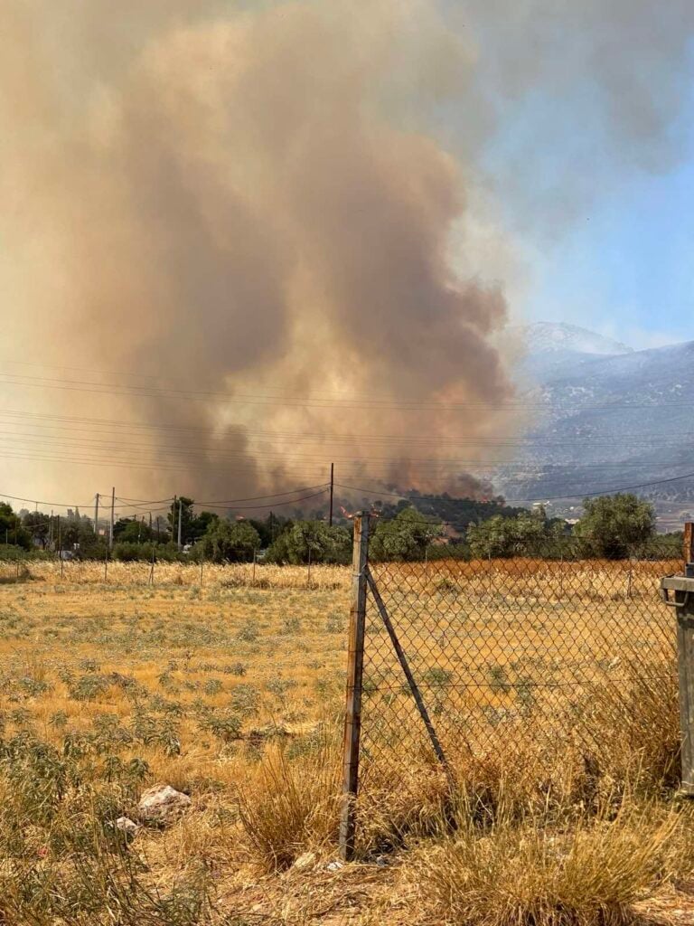 &Sigma;&Upsilon;&Rho;&Iota;&Zeta;&Alpha;, &kappa;&lambda;&iota;&mu;ά&kappa;&iota;&omicron;, &pi;&upsilon;&rho;ό&pi;&lambda;&eta;&kappa;&tau;&epsilon;&sigmaf; &pi;&epsilon;&rho;&iota;&omicron;&chi;έ&sigmaf;, &Delta;&upsilon;&tau;&iota;&kappa;ή &Alpha;&tau;&tau;&iota;&kappa;ή