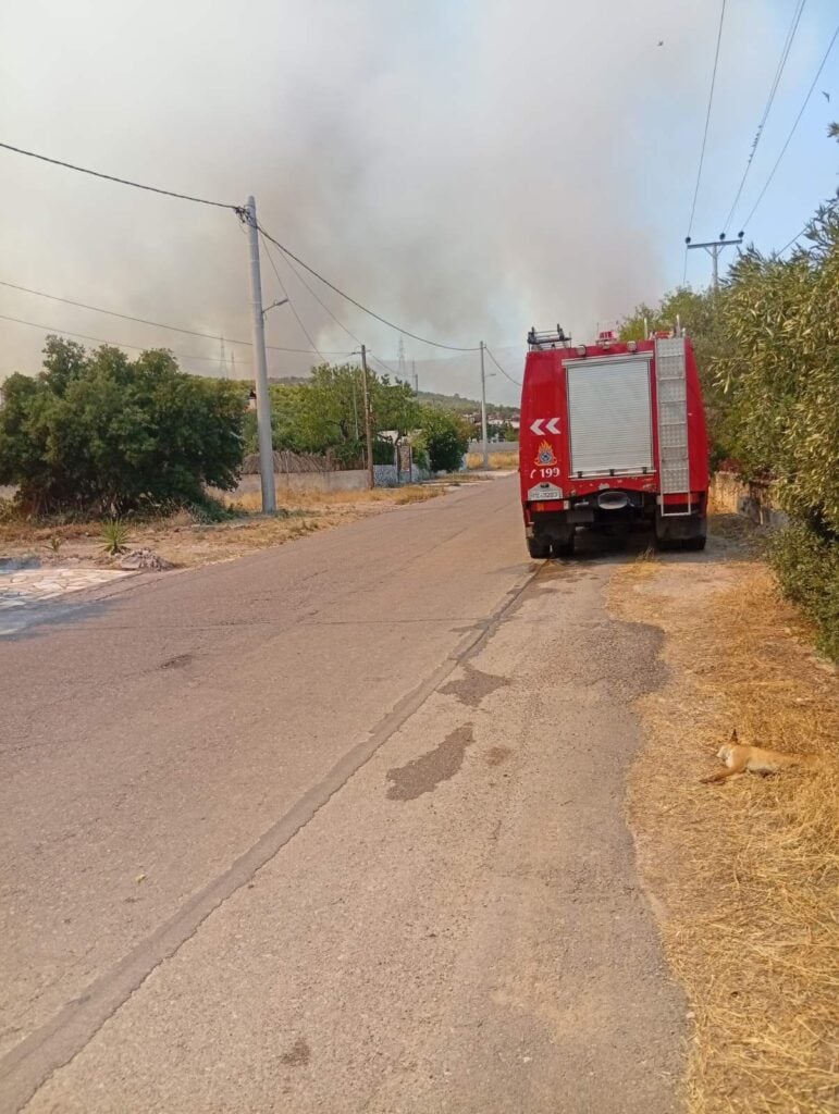 &Sigma;&Upsilon;&Rho;&Iota;&Zeta;&Alpha;, &kappa;&lambda;&iota;&mu;ά&kappa;&iota;&omicron;, &pi;&upsilon;&rho;ό&pi;&lambda;&eta;&kappa;&tau;&epsilon;&sigmaf; &pi;&epsilon;&rho;&iota;&omicron;&chi;έ&sigmaf;, &Delta;&upsilon;&tau;&iota;&kappa;ή &Alpha;&tau;&tau;&iota;&kappa;ή