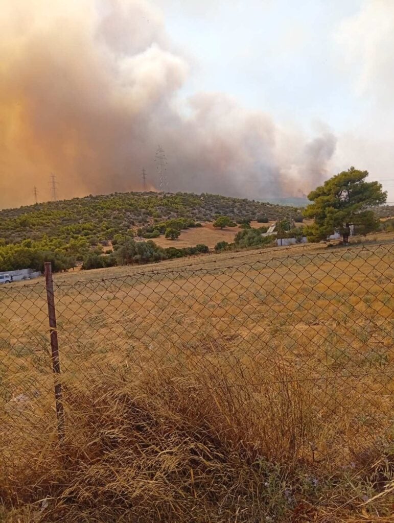 &Sigma;&Upsilon;&Rho;&Iota;&Zeta;&Alpha;, &kappa;&lambda;&iota;&mu;ά&kappa;&iota;&omicron;, &pi;&upsilon;&rho;ό&pi;&lambda;&eta;&kappa;&tau;&epsilon;&sigmaf; &pi;&epsilon;&rho;&iota;&omicron;&chi;έ&sigmaf;, &Delta;&upsilon;&tau;&iota;&kappa;ή &Alpha;&tau;&tau;&iota;&kappa;ή