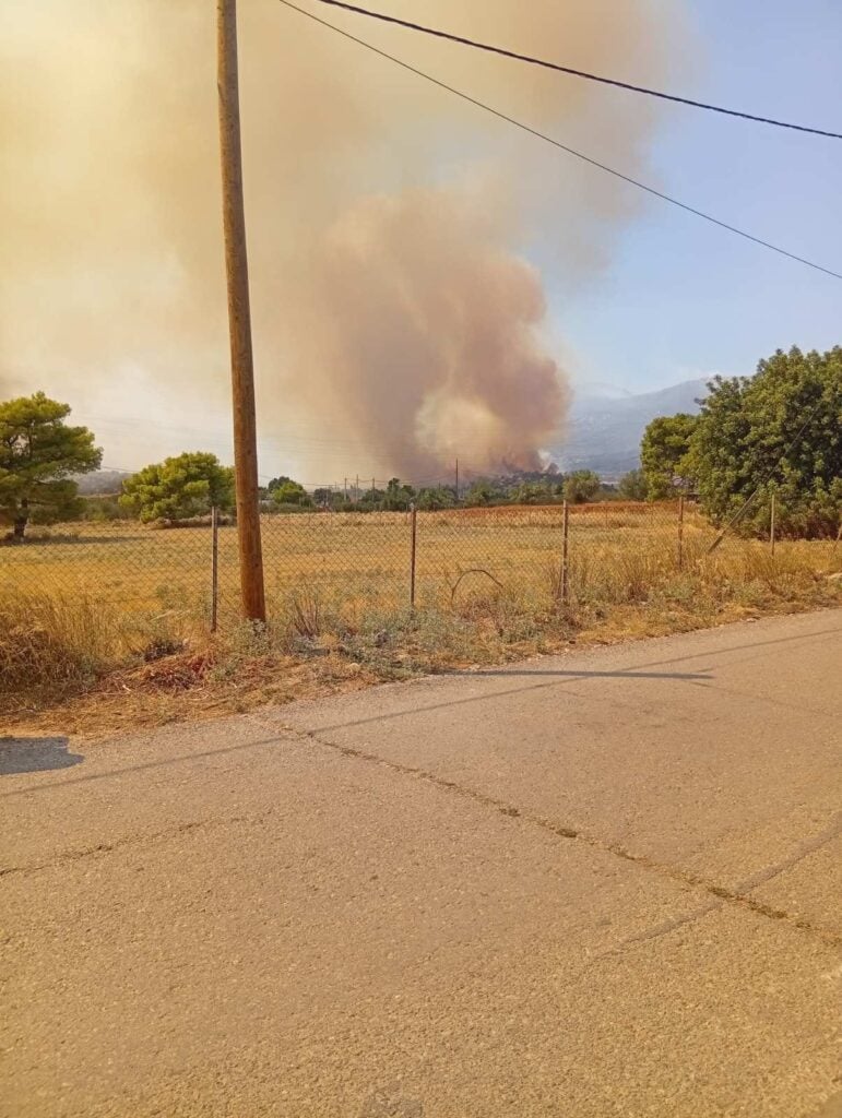 &Sigma;&Upsilon;&Rho;&Iota;&Zeta;&Alpha;, &kappa;&lambda;&iota;&mu;ά&kappa;&iota;&omicron;, &pi;&upsilon;&rho;ό&pi;&lambda;&eta;&kappa;&tau;&epsilon;&sigmaf; &pi;&epsilon;&rho;&iota;&omicron;&chi;έ&sigmaf;, &Delta;&upsilon;&tau;&iota;&kappa;ή &Alpha;&tau;&tau;&iota;&kappa;ή