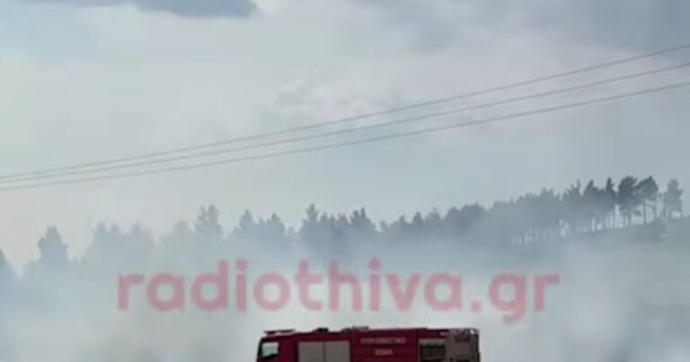 Φωτιά στη Θήβα: Σηκώθηκαν 2 αεροσκάφη και 1 ελικόπτερο - Βίντεο