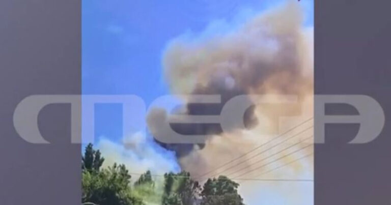 Χαλκιδική: Βίντεο ντοκουμέντο δείχνει τα πρώτα λεπτά της φωτιάς στη Σίβηρη