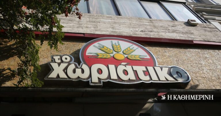 «Χωριάτικο»: Συνελήφθη πρώην συνδικαλιστής της ΓΕΝΟΠ ΔΕΗ – «Ξέπλεναν» χρήματα από trafficking