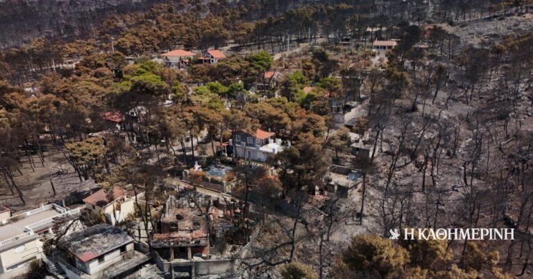 Δασικές πυρκαγιές Ιουλίου – Αυγούστου 2026: Στα 6,41 εκατ. ευρώ οι ασφαλιστικές αποζημιώσεις